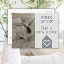 Search for rabbit lover postcards Bunny