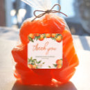 Search for tangerine stickers Clementine