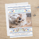Search for adoption day postcards Cute