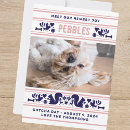 Search for adoption day postcards Cute