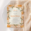 Search for gingham baby shower invitations Pastel