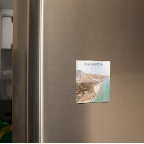 Search for canary magnets Landscape