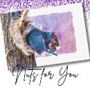 Search for squirrel valentines day cards Cute