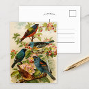 Search for art postcards birds