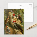 Search for illustration cards invites birds