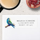 Search for parrot return address labels Green