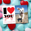 Search for funny dog valentines day cards Happy valentine's day