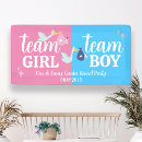 Search for gender reveal banners Modern