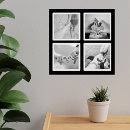 Search for black and white collage posters Photography
