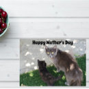 Search for black cat mothers day cards Kitten