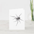 Search for spider halloween cards Insect