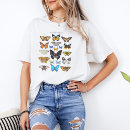 Search for lepidopterology Butterfly