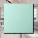 Search for pastel mint tiles Solid