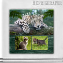 Search for photo magnets Nature