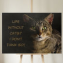 Search for quotes pet memorials Cats