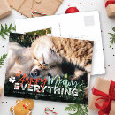 Search for funny dog picture postcards For pets