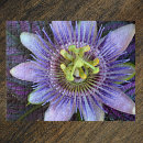 Search for passion flower puzzles Exotic