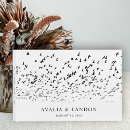 Search for bird feather Birds