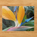 Search for tropical plant puzzles Bird of paradise