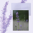 Search for flowering note cards Floral