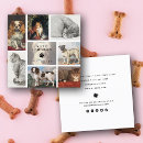 Search for cat sitter business cards Pets