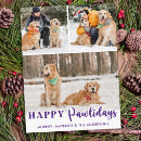 Search for white cat christmas cards Pet