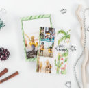 Search for cactus photo christmas cards Feliz navidad