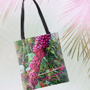 Search for fuchsia photography Magenta