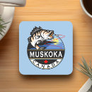 Search for outdoor coasters Water