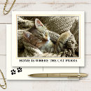 Search for kitty postcards New address