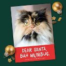 Search for bah humbug Cat