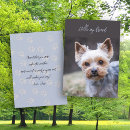 Search for yorkie cards Thinking of you