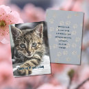 Search for thinking of you messages cards Tabby cat