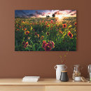 Search for blankets canvas prints Nature