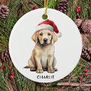 Search for yellow labrador christmas tree decorations Pet