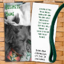 Search for felines rack cards Cat