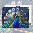 Search for gorgeous postcards Gold