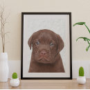 Search for chocolate lovers posters Labrador