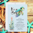 Search for boy turtle Ocean