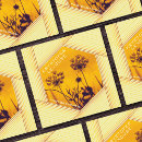 Search for hexagon business cards Yellow