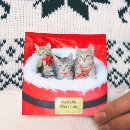 Search for shelter christmas cards Cute