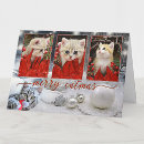 Search for animal lover christmas cards Modern