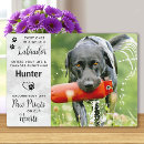 Search for labrador retriever memorial In loving memory