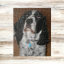 Search for english springer spaniel puzzles Animal