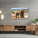 Search for elephant canvas prints Wildlife
