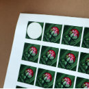 Search for peony flower stickers Peonies