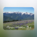 Search for olympic national park magnets Nature