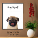Search for pug picture posters Pet