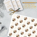 Search for lifestyle gift wrap Modern