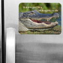 Search for alligators magnets Funny